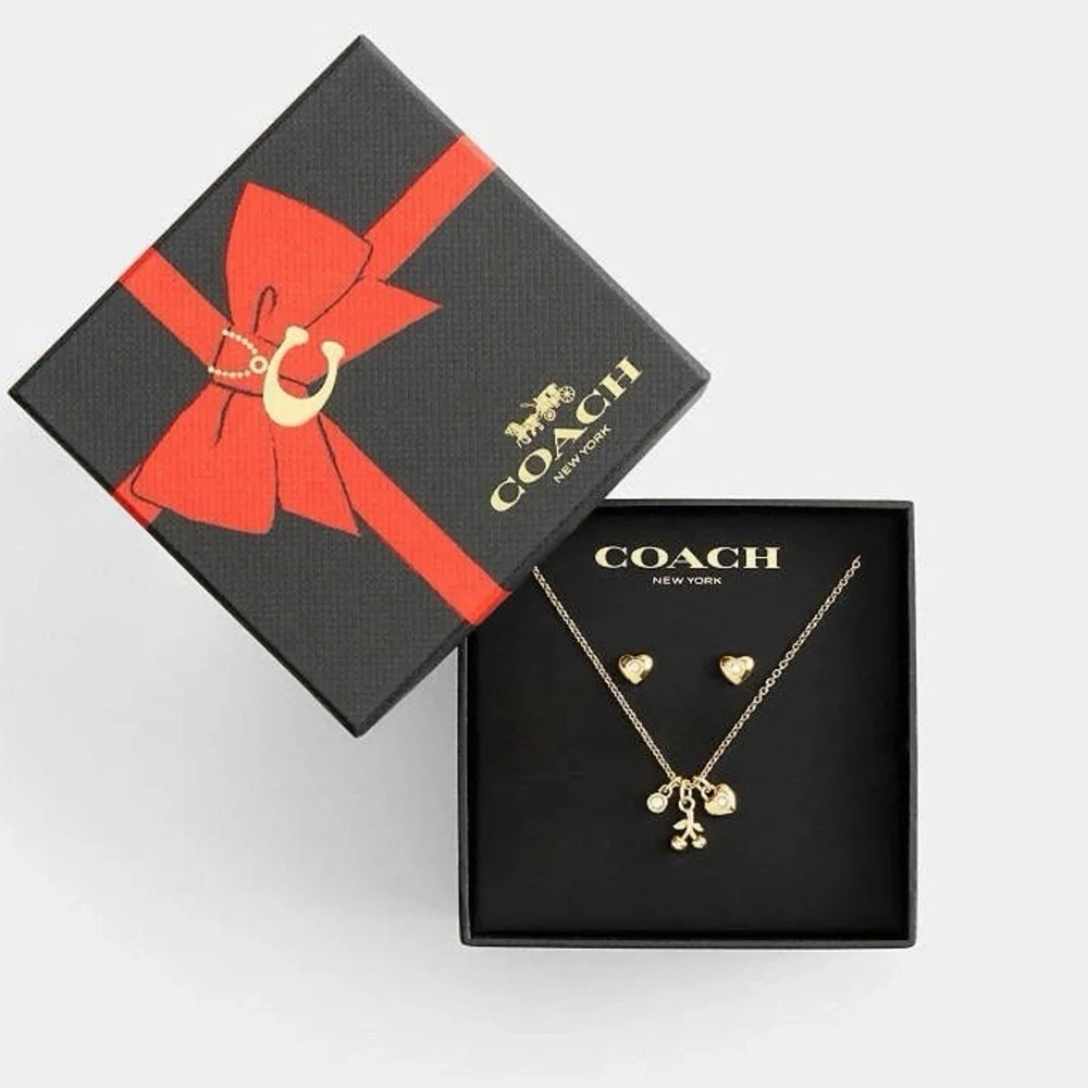 NWT Coach Cherry And Heart Earrings And Necklace‎ Set